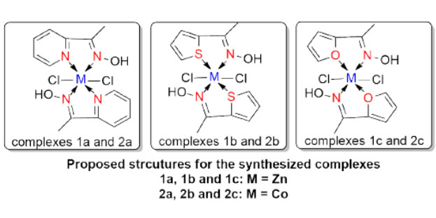 Characterization and Preliminary Antifungal Activity of Some Co(II) and Zn(II) Complexes Derived from Oximes of 2-Acetyl Aromatic Heterocycles