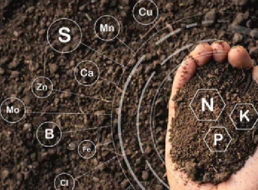 Soil Science and Sustainable Agriculture