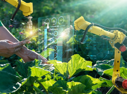 Artificial Intelligence in Agriculture